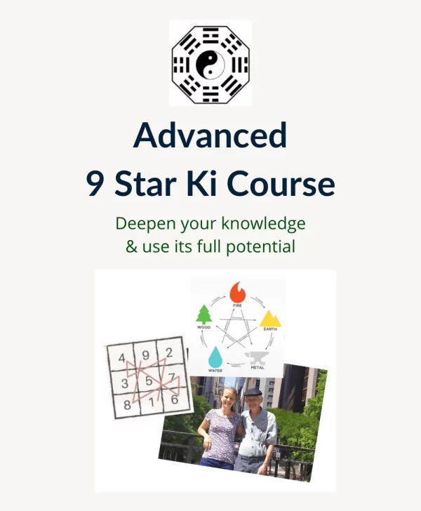 Advanced 9 Star Ki Course with Alex and Danka Jack