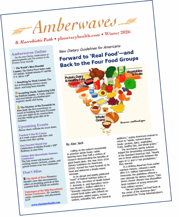 Amberwaves Journal Yearly Individual Subscription with a book picture